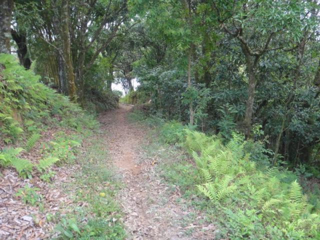 Vereda Bike Park Hotel Sao Joao del Rei Luaran gambar
